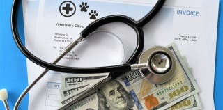 Pet Insurance Cost 