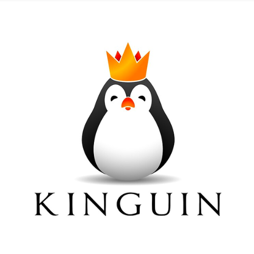 Kinguin Discount Codes: 12% Off → May 2023