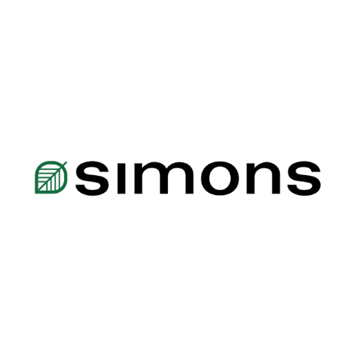 BB Simon Belts - Free Shipping & Returns - Temu
