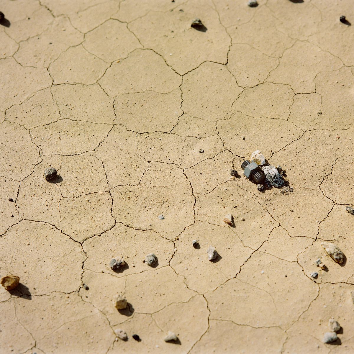 ‘WHITE GOLD,’ a poem by Christine Larusso