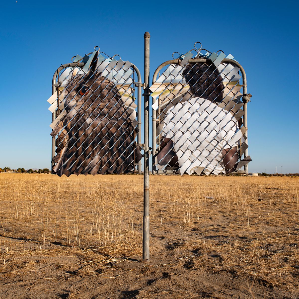 You’ve seen these portraits around L.A. Why are they now in the desert?