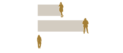 Gender breakdown of Los Angeles County homeless population in 2016