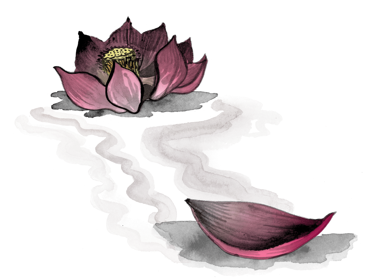 Illustration of a pink lotus flower with a missing petal drifting away in the water.