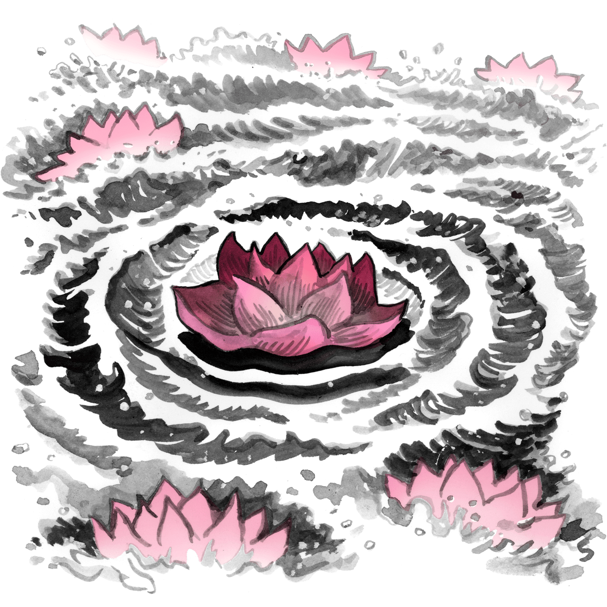Illustration of pink lotus flowers in water. There are ripples in the water.
