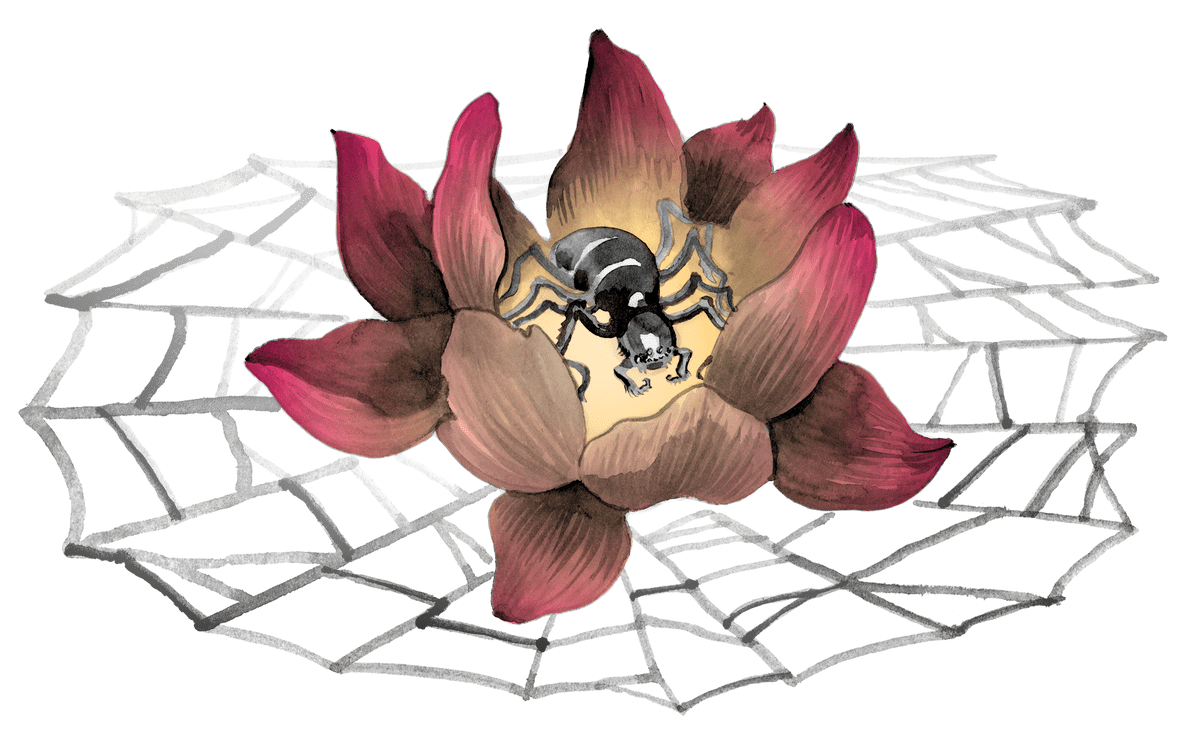 Illustration of a lotus flower on a spiderweb. A spider stands in the center of the flower.